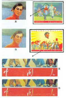 文5《毛主席的革命文艺路线胜利万岁》邮票的真伪鉴别