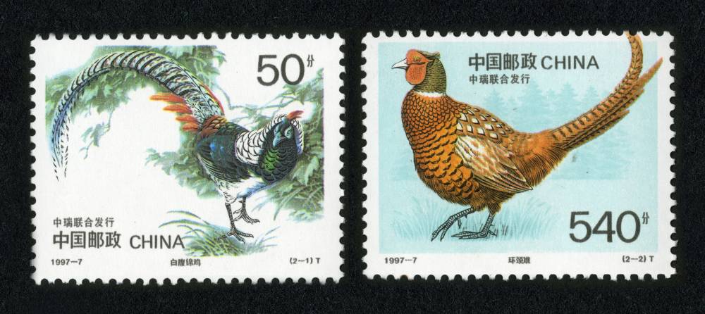 1997-7 珍禽邮票,价格,图片,最新