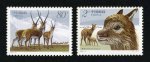 2003-12 藏羚邮票