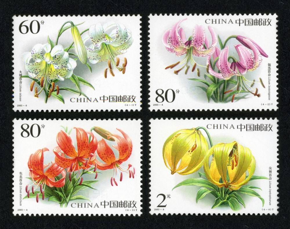 2003-4 百合花邮票